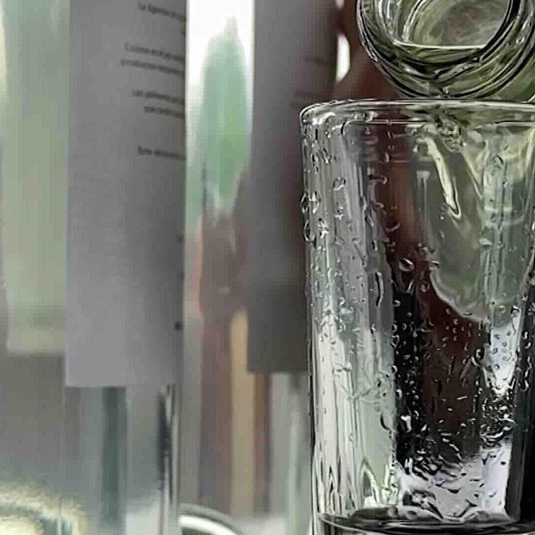 Foto | Vino de Cocos Regresa en Colima Tras 300 Años y Rescata Tradición Ancestral