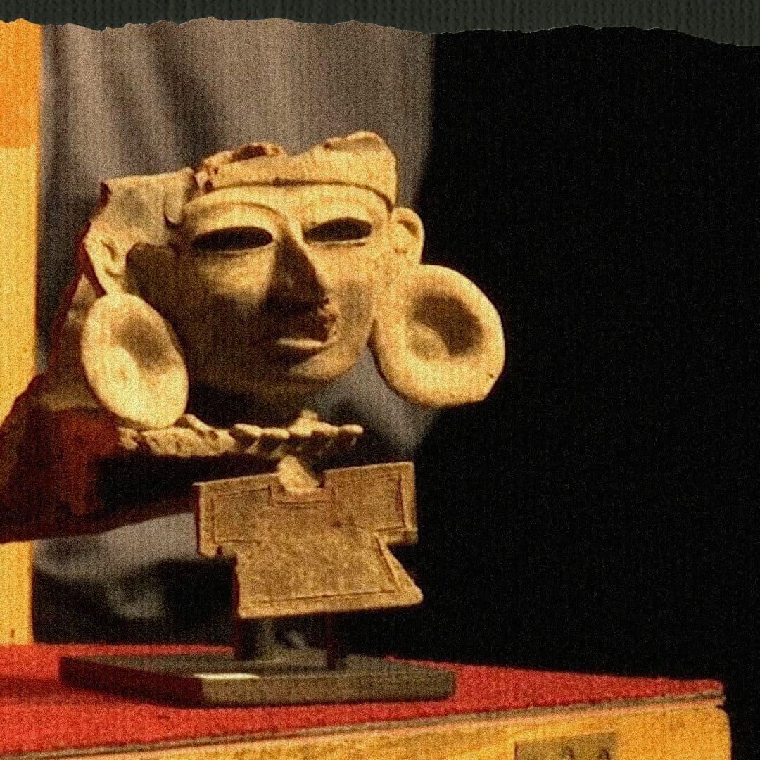 thumb video web focus sin texto